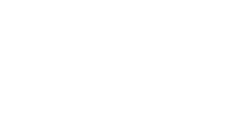 Burley logo