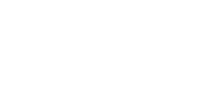 Zefal logo